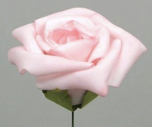 Skumrose lys rosa 7 cm