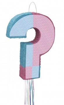 Girl Or Boy - piñata