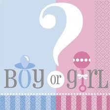 Girl Or Boy - servietter 20 pk