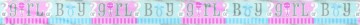 Girl Or Boy - foliebanner